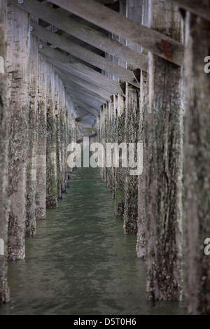 Details of wooden pillars at  Powder Point Duxbury Bridge ,  Massachusetts, USA Stock Photo