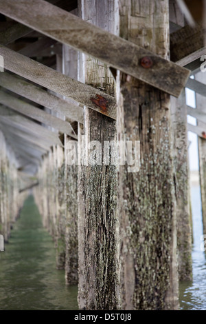 Details of wooden pillars at  Powder Point Duxbury Bridge ,  Massachusetts, USA Stock Photo