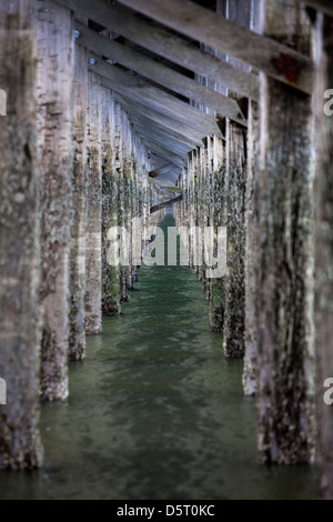 Details of wooden pillars at  Powder Point Duxbury Bridge ,  Massachusetts, USA Stock Photo