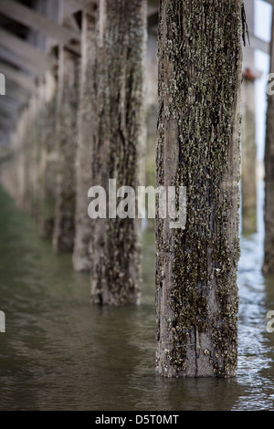 Details of wooden pillars at  Powder Point Duxbury Bridge ,  Massachusetts, USA Stock Photo