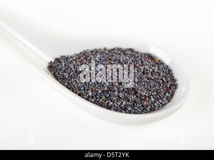 Poppy seeds in the spoon on white background Stock Photo