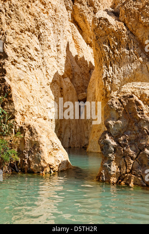 Mountain oasis Chebika in Tunisia near the border with Algeria. Stock Photo