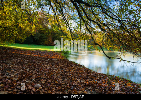 Beside the gently flowing waters of the River Cherwell after heavy rainfall within the landscaped grounds of Rousham House, Oxfordshire, England Stock Photo