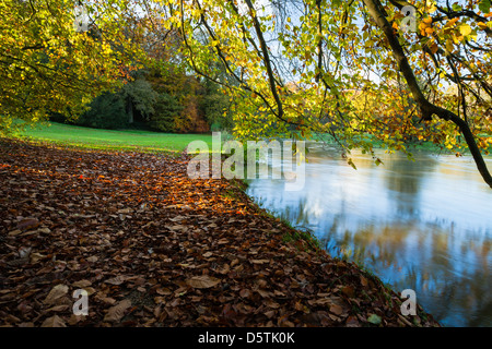 Beside the gently flowing waters of the River Cherwell after heavy rainfall within the landscaped grounds of Rousham House, Oxfordshire, England Stock Photo