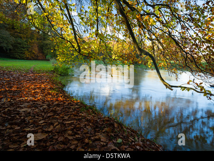 Beside the gently flowing waters of the River Cherwell after heavy rainfall within the landscaped grounds of Rousham House, Oxfordshire, England Stock Photo