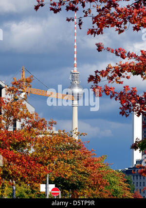 trees in front have turned red , sky turned red Stock Photo - Alamy