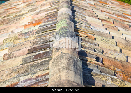 House tile roof Stock Photo