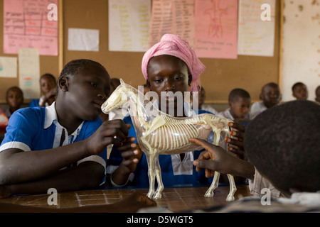 Gambia: Sambel Kunda village school Stock Photo