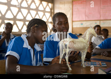 Gambia: Sambel Kunda village school Stock Photo