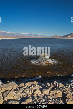 Los Angeles Returns Water to Owens Lake 100 Years After Building Los Angeles Aqueduct Stock Photo