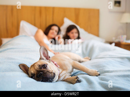 Dog relaxing with couple in bed Stock Photo