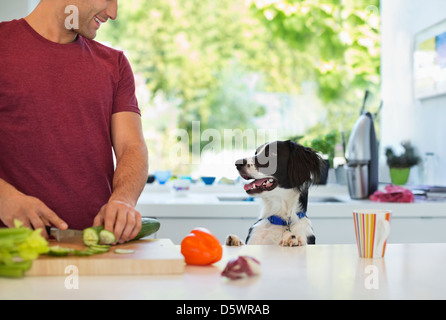 Man cooking with dog in kitchen Stock Photo