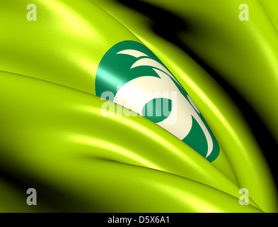 Osaki City Flag, Japan, Miyagi Prefecture, Closeup View Stock Photo - Alamy