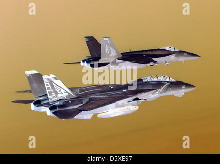 A Grumman F-14B 'Tomcat', assigned to the 'Pukin' Dogs' of FS One Four Three (VF-143), and the squadron’s new aircraft, an McDonnell Douglas F/A-18E 'Super Hornet'. Stock Photo