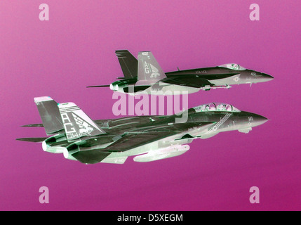 A Grumman F-14B 'Tomcat', assigned to the 'Pukin’ Dogs' of FS One Four Three (VF-143), and the squadron’s new aircraft, an McDonnell Douglas F/A-18E 'Super Hornet'. Stock Photo