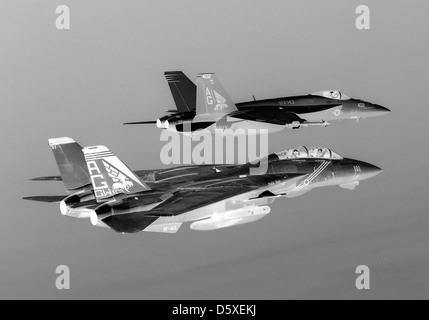 A Grumman F-14B 'Tomcat', assigned to the 'Pukin’ Dogs' of FS One Four Three (VF-143), and the squadron’s new aircraft, an McDonnell Douglas F/A-18E 'Super Hornet'. Stock Photo