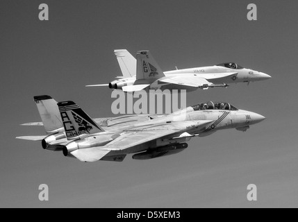 A Grumman F-14B 'Tomcat', assigned to the 'Pukin’ Dogs' of FS One Four Three (VF-143), and the squadron’s new aircraft, an McDonnell Douglas F/A-18E 'Super Hornet'. Stock Photo