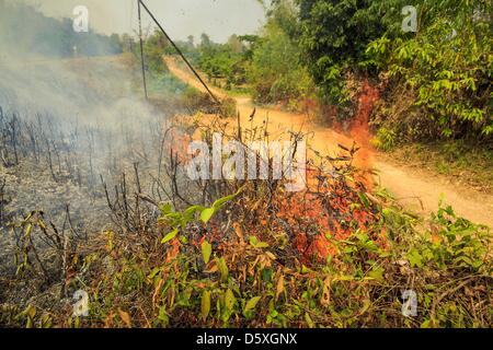 April 9, 2013 - Khuntan, Lamphun, Thailand - A grassfire set by people who wanted to burn out weeds and dead grass from a road side burns in Khuntan, Lamphun province, Thailand. The ''burning season,'' which roughly goes from late February to late April, is when farmers in northern Thailand burn the dead grass and last year's stubble out of their fields. The burning creates clouds of smoke that causes breathing problems, reduces visibility and contributes to global warming. The Thai government has banned the burning and is making an effort to control it, but the farmers think it replenishes th Stock Photo