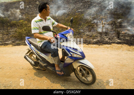 April 9, 2013 - Khuntan, Lamphun, Thailand - A man rides his motorcycle past a grassfire buring out weeds in Khuntan, Lamphun province, Thailand.  The ''burning season,'' which roughly goes from late February to late April, is when farmers in northern Thailand burn the dead grass and last year's stubble out of their fields. The burning creates clouds of smoke that causes breathing problems, reduces visibility and contributes to global warming. The Thai government has banned the burning and is making an effort to control it, but the farmers think it replenishes their soil (they use the ash as f Stock Photo