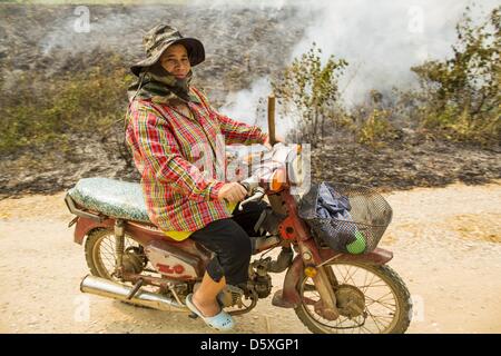 April 9, 2013 - Khuntan, Lamphun, Thailand - A woman rides her motorcycle past a grassfire buring out weeds in Khuntan, Lamphun province, Thailand.  The ''burning season,'' which roughly goes from late February to late April, is when farmers in northern Thailand burn the dead grass and last year's stubble out of their fields. The burning creates clouds of smoke that causes breathing problems, reduces visibility and contributes to global warming. The Thai government has banned the burning and is making an effort to control it, but the farmers think it replenishes their soil (they use the ash as Stock Photo