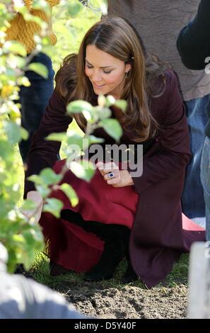 Duchess Catherine of Cambridge in Elswick Park while visiting a community garden in Newcastle, northeast England, 10 October 2012. Kate is on her first solo engagement. Photo: RPE-Albert Nieboer/dpa / NETHERLANDS OUT Stock Photo