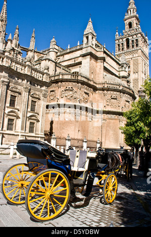 Horse drawn carriages for tourists Seville Andalusia Spain Europe Stock Photo