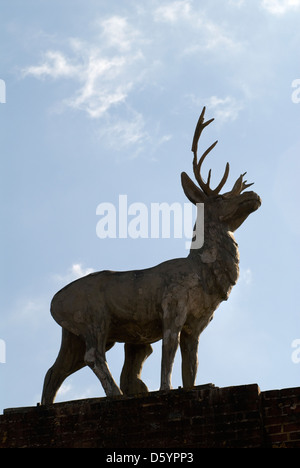 Stag on top of the Deer Park, Stag Gate on the Drax estate at the village of Winterbourne Zelston, Dorset UK. HOMER SYKES Stock Photo