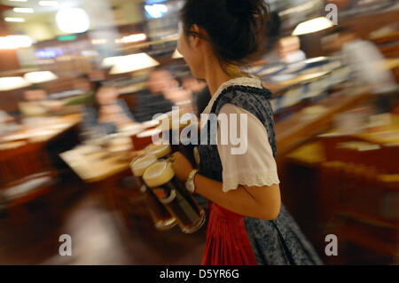 A woman serves self brewed beer at the restaurant and bar 'Paulander Munich' located in a hotel in Shenyang, China, 13 October 2012. Photo: Rainer Jensen Stock Photo