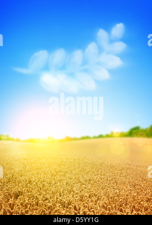 Gold wheat fields with a wheat shaped cloud. Stock Photo