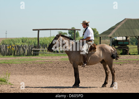 Argentina, Buenos Aires, Estancia Santa Susana. Traditional Argentine Gaucho on ranch horse in typical attire. Stock Photo