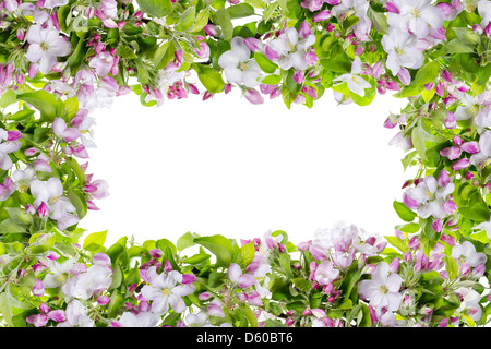 Pink spring apple tree flowers frame Stock Photo