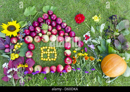 Autumn harvest concept Stock Photo