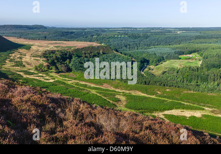 View across heather in bloom and open moorland towards Skelton Tower and woodland near Levisham in the North York Moors parkland Stock Photo