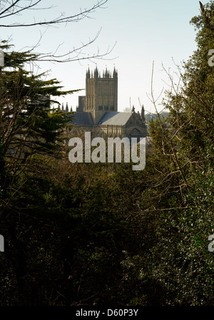 View of Wells Cathedral, Somerset, from Tor Hill Stock Photo