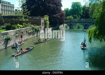 Cambridge punting, Cambridge, England,May 2010. Punting on the famous 'Backs' in the University City of Cambridge. Stock Photo