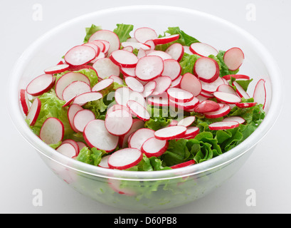 Green lettuce and red radish salad isolated with clipping path Stock Photo