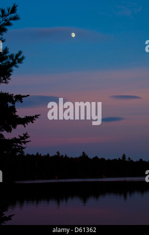 The woods of Baxter State Park are silhouetted against the twilight sky as the moon rises over the remains of sunset. Stock Photo