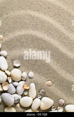 Sand background with shells and stones. Sandy beach texture for summer with copy space. Macro shot Stock Photo