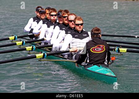 Germany's rowing men's eight with cox Martin Sauer (R-L), Kristof Wilke, Florian Mennigen, Lukas Mueller, Richard Schmidt, Eric Johannesen, Maximilian Reinelt, Filip Adamski and Andreas Kuffner is pictured during a training session at the Rowing Intensive Training Center in Dortmund, Germany, 19 April 2012. Germany's men's eight team for the upcoming Olympic Games was presented at  Stock Photo