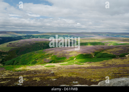 Pike low, site of Mesolithic burial mound.Purple heather in bloom over moorlands,Derwent Edge,Peak District,England Stock Photo