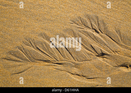 Sand Patterns; Beach; Bude; Cornwall; UK Stock Photo