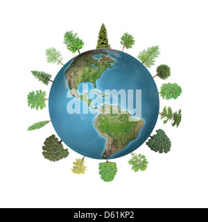 Coniferous and deciduous trees growing around the Earth globe isolated on white background Stock Photo
