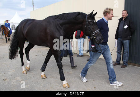 German dressage ride Matthias Rath leads his horse 'Totilas' to the veterinary examination during the Horse & Dreams equestrian event in Hagen Am Teutoburger Wald, Germany, 27 April 2012. Photo: FRISO GENTSCH Stock Photo