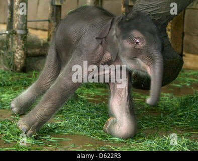 Cute baby hi-res stock photography and images - Alamy