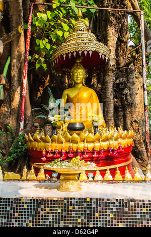 Buddha under the Bodhi tree Stock Photo