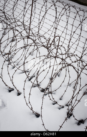 Coils of rusting barbed wire in winter snow form a perimeter fence in the Nazi and Soviet Sachsenhausen concentration camp, now known as the Sachsenhausen Memorial and Museum. Sachsenhausen was a Nazi concentration camp in Oranienburg, 35 kilometres (22 miles) north of Berlin, Germany, used primarily for political prisoners from 1936 to the end of the Third Reich in May 1945.  (More caption in Description). Stock Photo