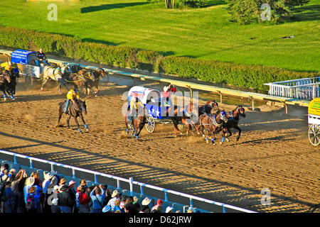 Chuckwagon Horse Races at the Calgary Stampede in Calgary;Alberta;Canada;Western Canada;Chuck Wagon Stock Photo