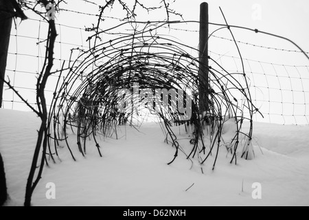 Tunnel of wire in the snow Stock Photo
