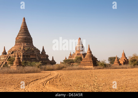Buledi Temple, in the centre at the back, Bagan, Myanmar, (Burma) Stock Photo
