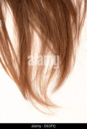 woman hair Stock Photo